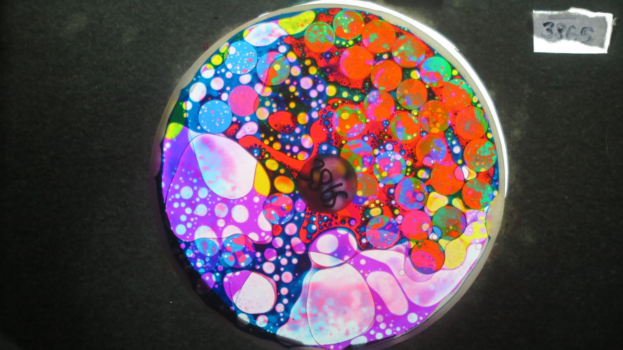 BV3865 bubble vision oil wheel